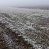 Синоптики попереджають про небезпеку: Україну накриють сильні заморозки