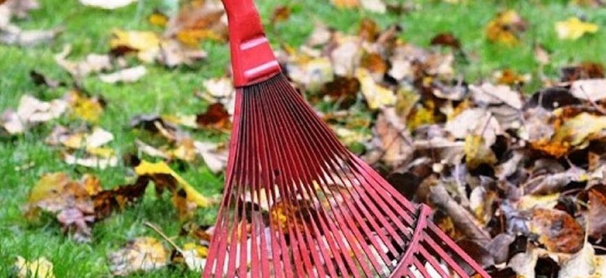Опале листя можна перетворити на цінне натуральне добриво для саду