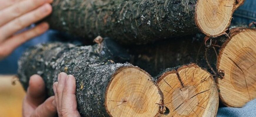 Дрова укладають навпаки — незвичний спосіб допомагає розпалити камін майже без зайвого диму