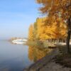 Деякі знаки зодіаку чекають на осінь цілий рік і насолоджуються прохолодою