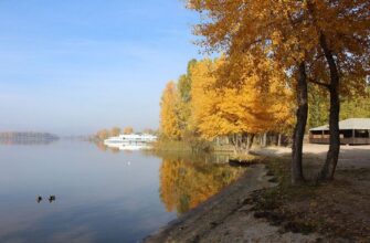 Деякі знаки зодіаку чекають на осінь цілий рік і насолоджуються прохолодою