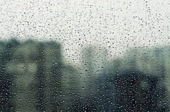 Вікна перестануть пітніти восени завдяки кільком простим і перевіреним крокам Вікна перестануть пітніти восени завдяки кільком простим і перевіреним крокам