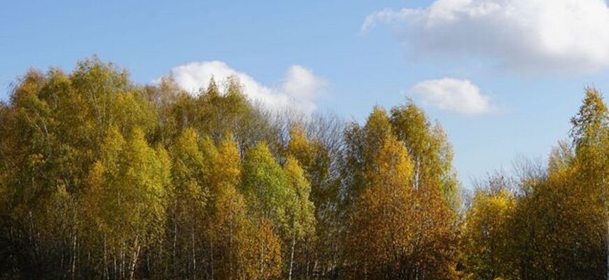 В Україну прийде різке похолодання з дощами — синоптики назвали точну дату