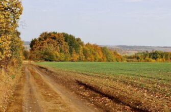 Синоптики попередили про аномальну осінь в Україні через феномен Ель-Ніньйо
