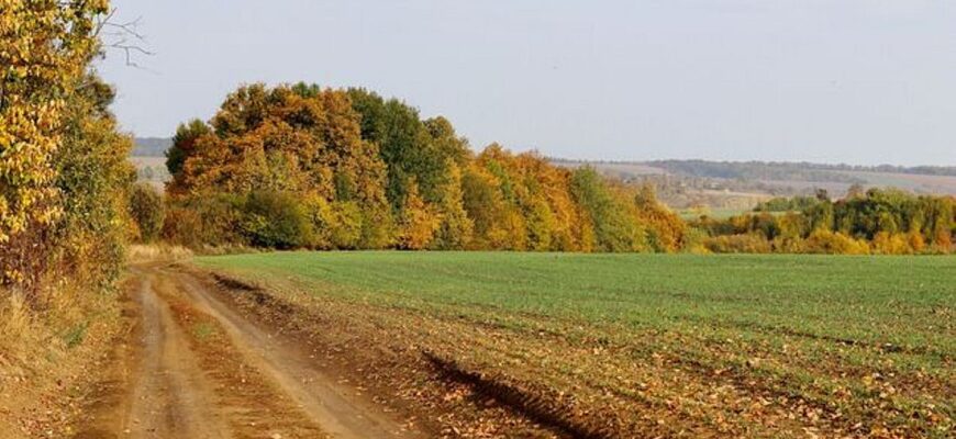 Синоптики попередили про аномальну осінь в Україні через феномен Ель-Ніньйо
