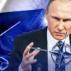 Росія стягує війська та готує тисячі лікарняних ліжок біля кордонів із НАТО — німецькі ЗМІ б’ють на сполох