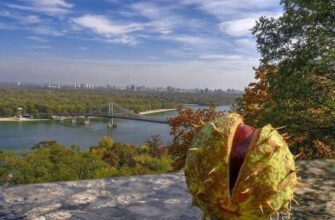 Народні прикмети на 9 вересня: що робили предки для примноження достатку Народні прикмети на 9 вересня: що робили предки для примноження достатку