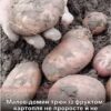 Картопля не проросте місяцями: простий трюк з яблуком, про який мало хто знає