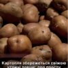 Яблуко біля картоплі: господарі розкрили простий трюк для тривалого зберігання