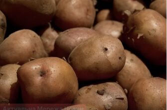 Яблуко біля картоплі: господарі розкрили простий трюк для тривалого зберігання