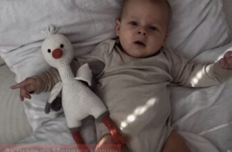 Чому пік народжуваності припадає саме на вересень: що кажуть науковці