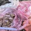 Городники обирають незвичних сусідів для часнику під час осінньої посадки