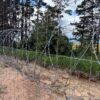 Кілометр уздовж кордону закрили для людей, але лише до кінця воєнного стану