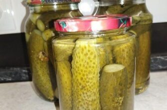 Ідеальні хрумкі солоні огірки на зиму: які нюанси перетворять звичайну заготівлю на шедевр Ідеальні хрумкі солоні огірки на зиму: які нюанси перетворять звичайну заготівлю на шедевр