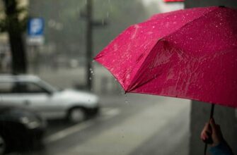 Синоптики попередили, що сонце в Україні світитиме недовго — до кінця тижня дощі повернуться