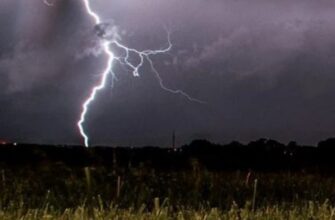 У вересні очікуються перші заморозки — синоптики розповіли, коли саме