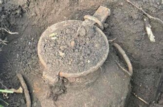 У лісі на Прикарпатті знайшли унікальний архів ОУН: що було в металевому бідоні