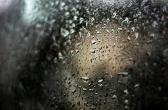 Вікна постійно мокріють через холод — два підручні засоби допоможуть позбутися конденсату