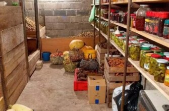 Готуємо льох до зими за три кроки, щоб овочі та фрукти збереглися до весни