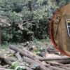 160 дерев намагаються зберегти під час конфлікту довкола теплотраси на Теремках
