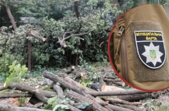 160 дерев намагаються зберегти під час конфлікту довкола теплотраси на Теремках