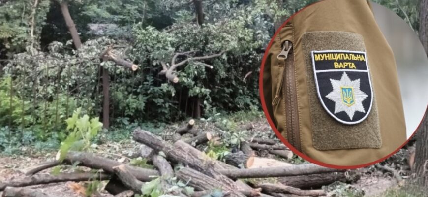 160 дерев намагаються зберегти під час конфлікту довкола теплотраси на Теремках