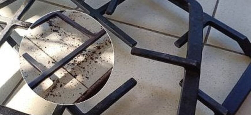 Решітка газової плити сяятиме чистотою — перевірені способи легко видаляють товстий наліт жиру