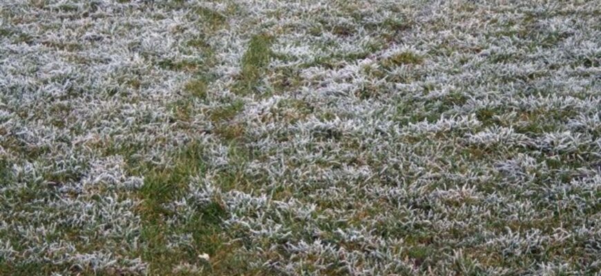 В Україну суне різке похолодання з заморозками до мінус трьох градусів