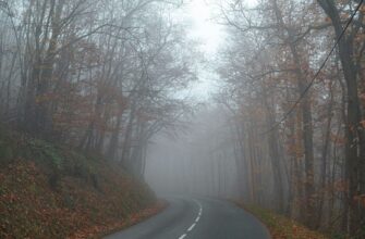 Дощі та неочікуване потепління: синоптик попередив про зміну погоди на вихідних
