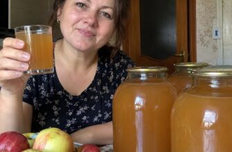 «Взимку пахне осінню» — як приготувати натуральний яблучний сік на зиму без зайвої мороки