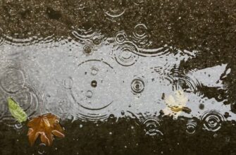 Циклони з дощами та мокрим снігом накриють більшість областей України 16 жовтня