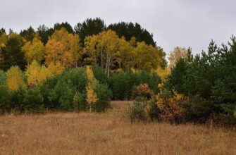 Синоптики обіцяють до +20°, та негода вируватиме в окремих областях