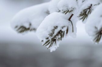 Синоптики попередили про снігопади до 35 сантиметрів у Європі вже наприкінці жовтня Синоптики попередили про снігопади до 35 сантиметрів у Європі вже наприкінці жовтня