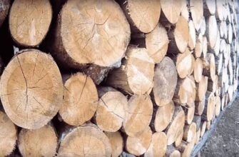 Збирання дров у лісі може закінчитися великим штрафом та судом