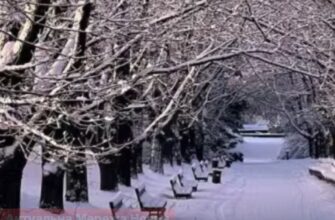 Арктичний холод несподівано прорвався до Європи на два місяці раніше: чи чекати снігу в Україні