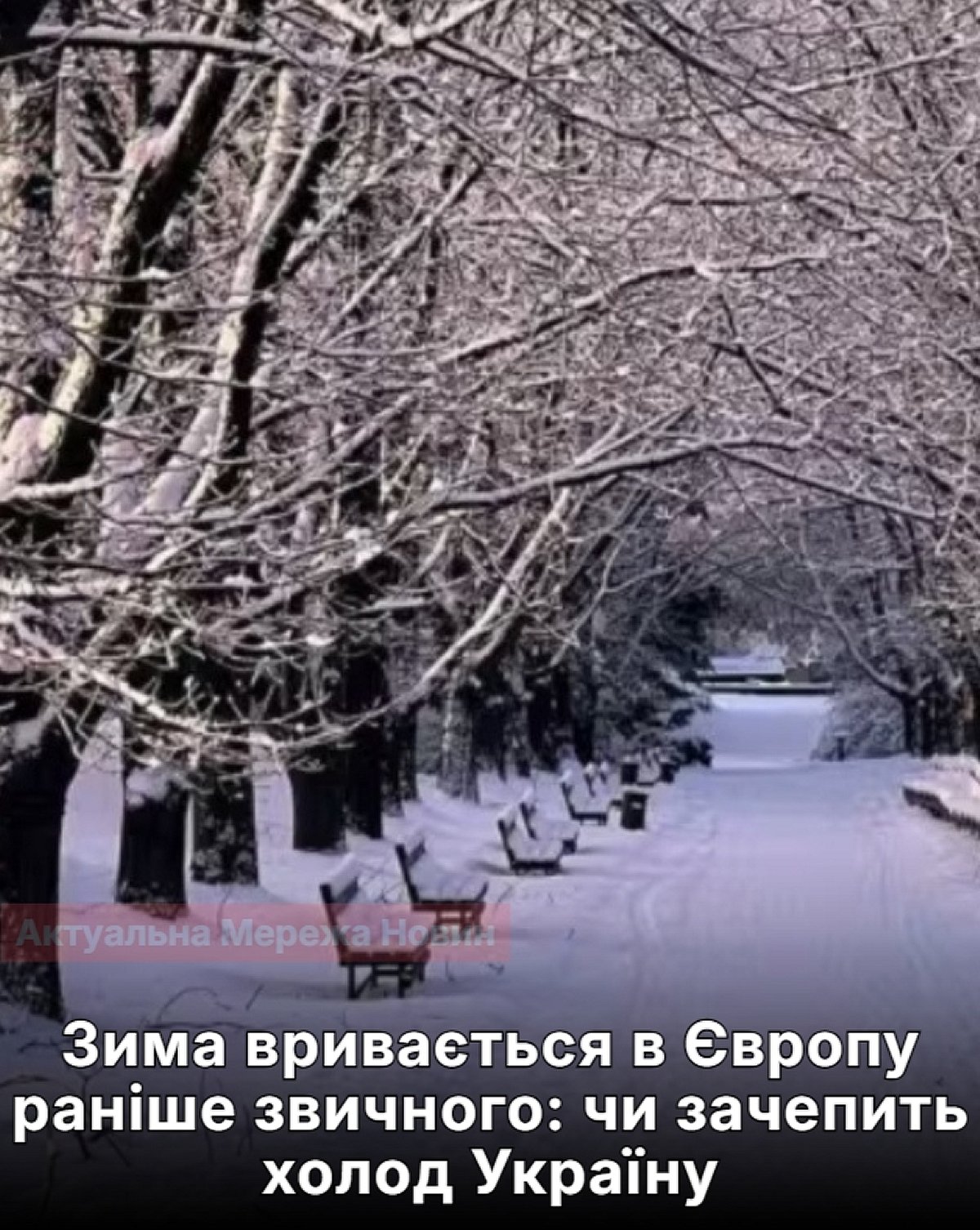 Арктичний холод несподівано прорвався до Європи на два місяці раніше: чи чекати снігу в Україні