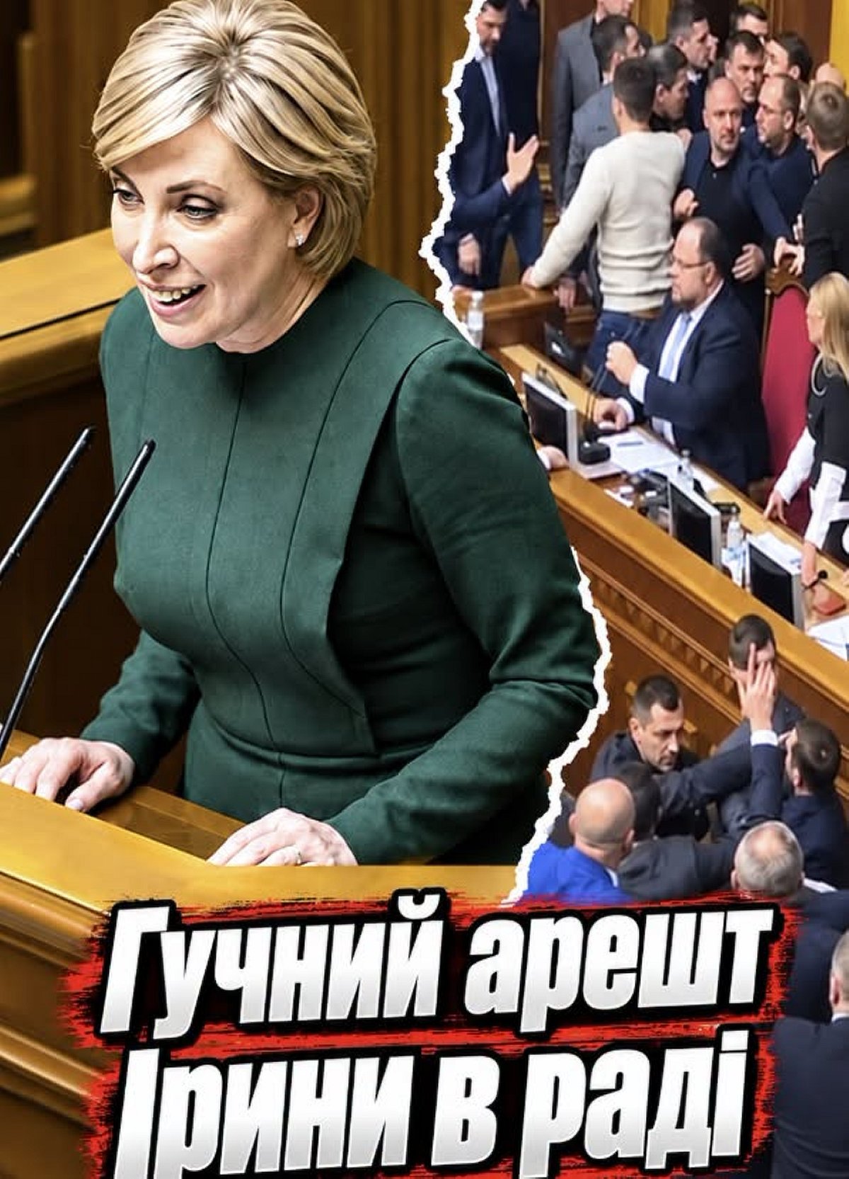Ірину «схопили» просто в Раді: у сесійній залі зчинився скандал і лунали крики