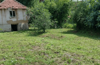 Покинула житло з ремонтом і вивезла дітей у село: сумчанку обурили ціни на хати