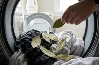 Лавровий лист у пральній машині: господині розкрили, чи справді він повертає яскравість одягу