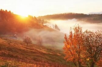 Рівненщина готується до холодних ночей: синоптики дали прогноз