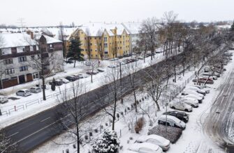 Перший сніг в Україні: стало відомо, коли чекати похолодання
