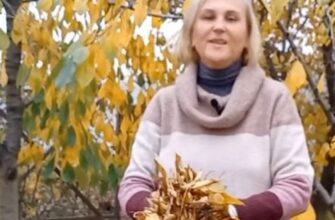 Опале листя перетворить город на супергрядку для огірків і кабачків