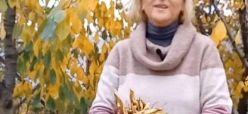 Опале листя перетворить город на супергрядку для огірків і кабачків