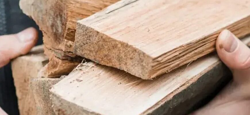 «Поліна мокрі, хоч сушили все літо» — дрова втрачають тепло через одну помилку при складанні