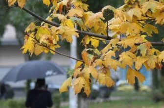 Тепло до +20 зміниться негодою: синоптики назвали точну дату різкого похолодання