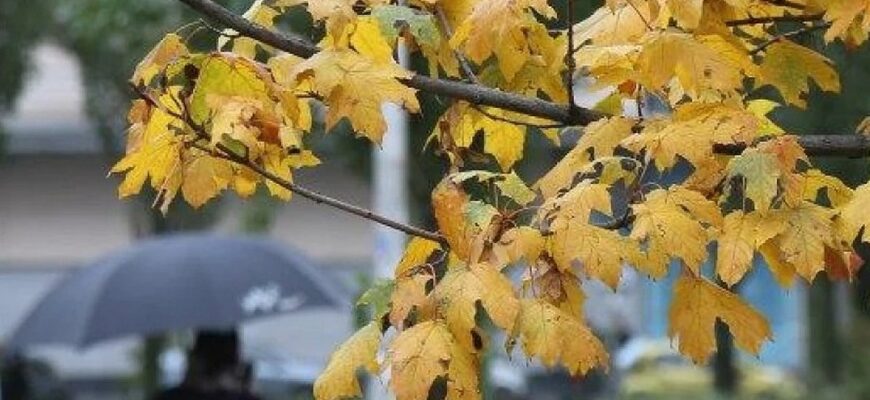 Тепло до +20 зміниться негодою: синоптики назвали точну дату різкого похолодання