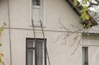 Купили будинок на Прикарпатті: який неприємний «сюрприз» чекав на подружжя під підлогою