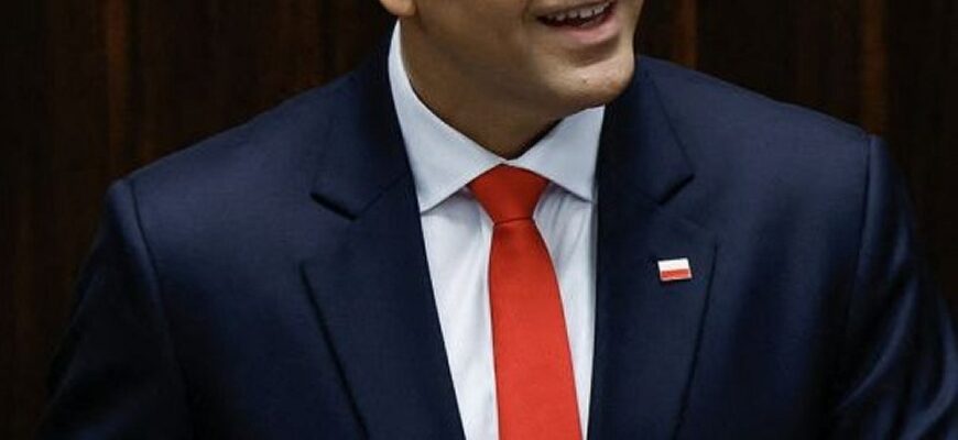 Навроцький звинуватив уряд Польщі у силовому захопленні Конституційного трибуналу