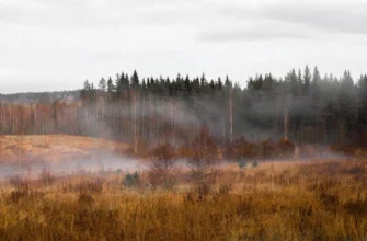 Осінь набирає обертів: грози, шквали та різке похолодання, погода на 12-18 жовтня