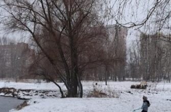 Старовинний календар обіцяє Європі сувору зиму: коли чекати перших снігопадів